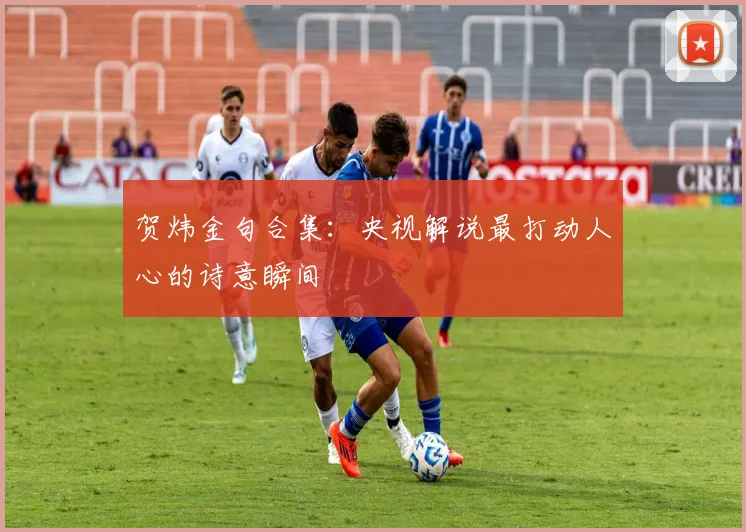贺炜金句合集：央视解说最打动人心的诗意瞬间