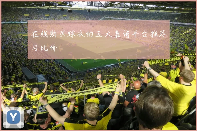 在线购买球衣的五大靠谱平台推荐与比价